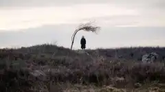 Доктор Кто (сериал 2023) 1 сезон 4 серия